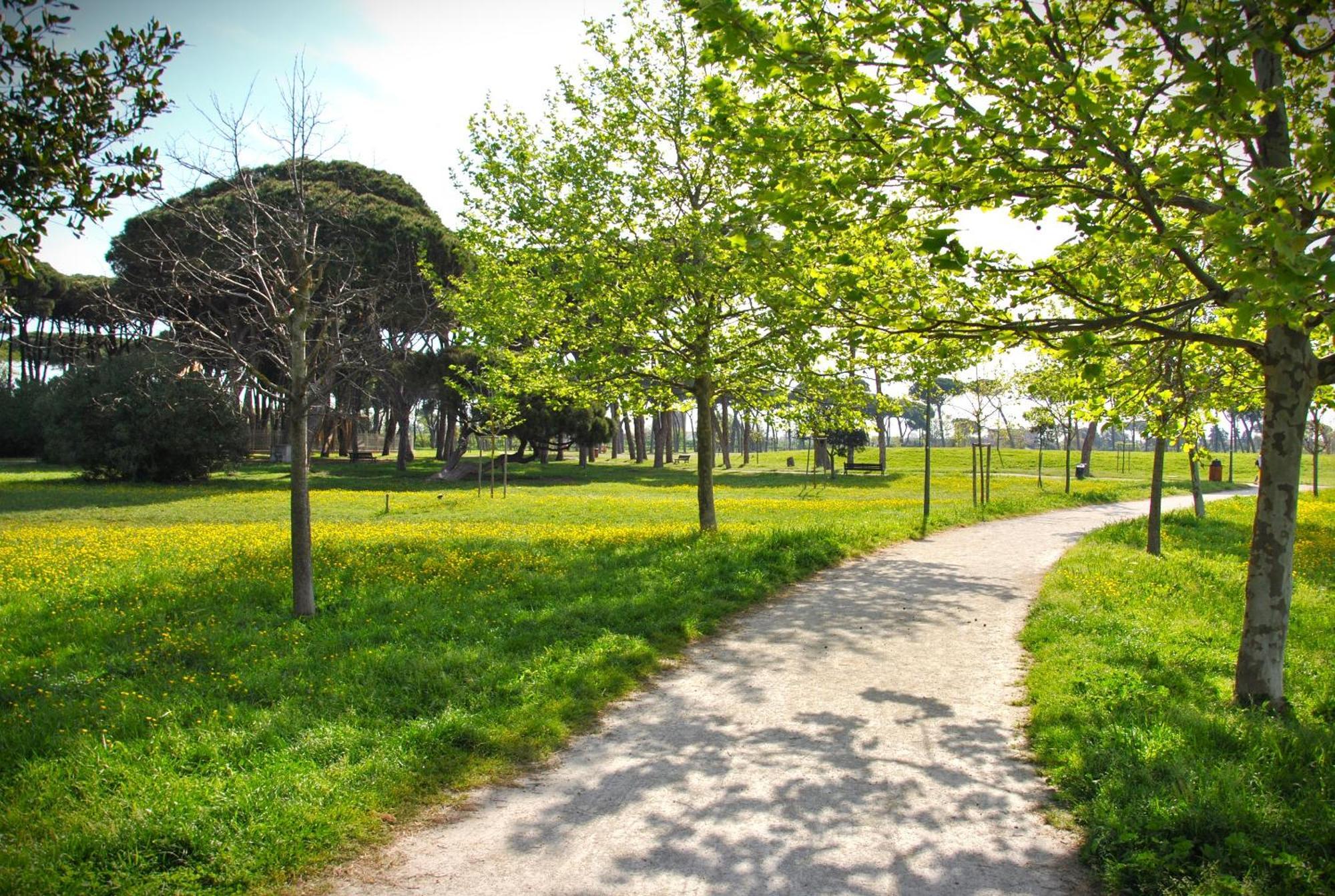 Alloggio Di Giorgia Fiumicino Exterior foto